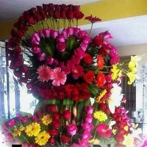 Meet your Posher, Estela